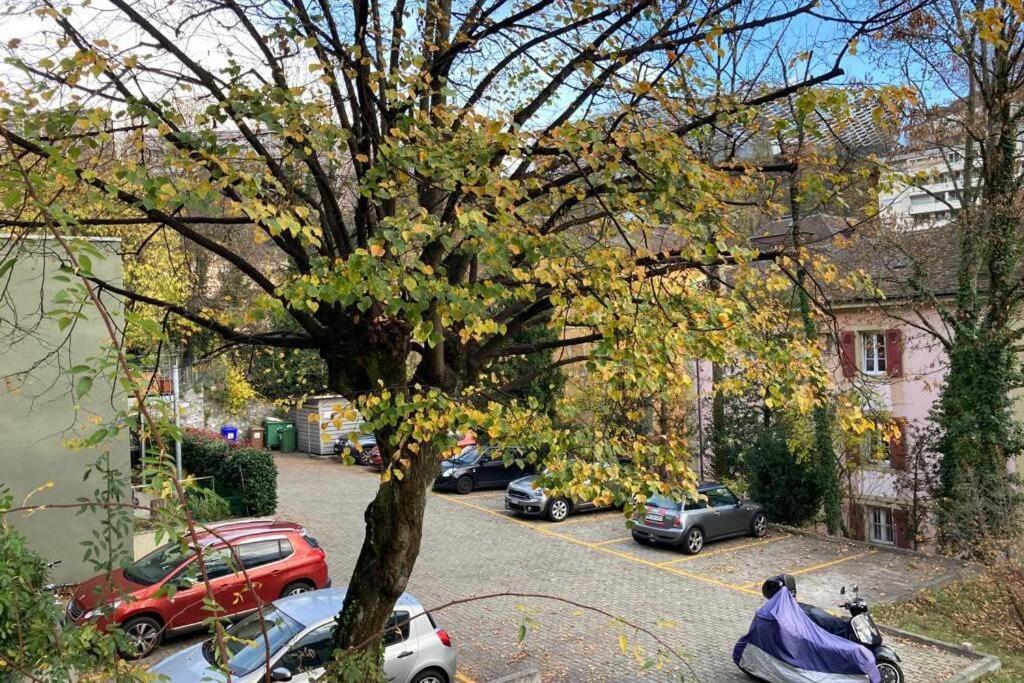 Parking & Appartement 2 Pieces Sans Traffic Lozan Dış mekan fotoğraf